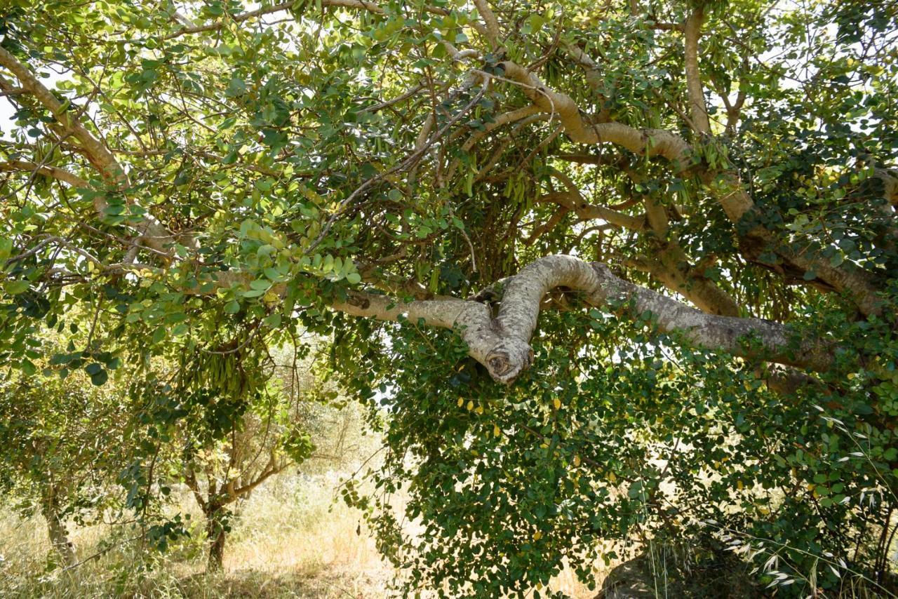 Karrua House - Magnolia Room Modica Kültér fotó